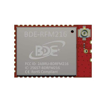 BDE-RFM216-915 Image