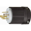 NEMA L14-20 PLUG Image