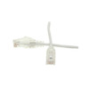 CAT6-SLM-15FT-WH Image