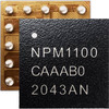 NPM1100-CAAB-R7 Image