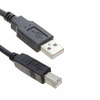 CA-USB-AM-BM-3FT Image