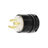 NEMA L8-20 PLUG Image